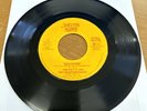 TOM PETTY - Breakdown / The Wild One, Forever 45  1976 Shelter   True 1st Press