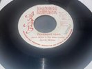 Jacob Miller - Tenement Yard 1976 - Arab Records