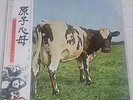 PINK FLOYD (Japan) 