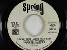 Northern Soul/Funk 45 - Flower Shoppe - You've Come Along Way Baby - Spring