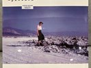 Blue Screen Life by Pinback - 2003 Limited Edition Clear Vinyl Double LP Sealed