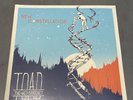 Toad the Wet Sprocket New Constellation Double Vinyl LP Record 2014 Sealed