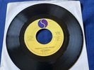 Ramones Sheena is a Punk Rocker 7”-No Pic Sleeve-Sire Records Side 1 VG+/2 VG