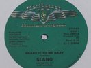 SLANG Shake It To Me Baby & Turn Me On  ELECTRO FUNK BOOGIE 12 Inch Vinyl SOUL