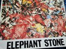 Elephant Stone The Stone Roses 12