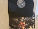 Obscured by Clouds by Pink Floyd (Vinyl Record, *mint* condition)