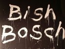WALKER, Scott - Bish Bosch - Vinyl (180 gram vinyl 2xLP + CD + booklet)