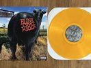 Blink 182 - Dude Ranch ORANGE TRANSPARENT vinyl LP record Rare color
