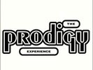 The Prodigy - The Prodigy Experience Double Vinyl LP New Sealed