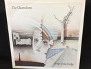 The Chameleons Script of the Bridge  LP STAT-LP17 1985 RE UK Import EX/EX