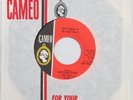 BOB SEGER &THE LAST HEARD East Side Story CAMEO 45 Garage Near Mint Promo HEAR