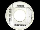 GARAGE-BEAUS OF BEETHOVEN-IT'S TOO LATEGOIN' AWAY-SOUND PRO STUDIO 1015