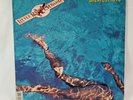 LITTLE RIVER BAND GREATEST HITS 1982 LP CAPITOL PRINT VINTAGE VINYL