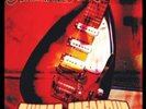 THE ANIMATED EGG - GUITAR FREAKOUT (2LP 2008) NEW *BLACK VINYL*21 TRACKS*