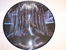 Morbid - December Moon LTD picture disc LP 2005 BLACK metal