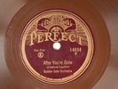 Willard Robison And His Orchestra 78 RPM Perfect - After You're Gone L9E