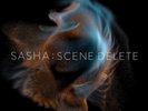 SASHA SCENE DELETE NEW VINYL