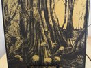 Alone In The Woods Help Is Not Coming vinyl Wax Mage 25/25 Cadabra Records