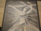 NEUTRAL MILK HOTEL Vinyl Box Set 2015 NM
