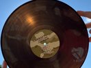 AGNOSTIC FRONT  Original 1986 CAUSE FOR ALARM Translucent Vinyl LP  VG+ RARE