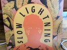 The Bones of J.R. Jones - Slow lightning Vinyl