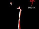 Steely Dan / Aja / Vinyl / Progressive / Kraut / ABC Records / India