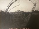 Frank Iero And The Cellabration - Stomachaches White Vinyl Record [WH48] (MCR)