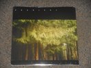 PRURIENT black vase 2x LP NEW SEALED original 2005 load 072 wolf eyes merzbow