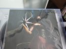 Ragnarok Online Vinyl Not Moonshake