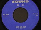 ROOSEVELT SYKES: she's jail bait / sputnik baby HOUSE OF SOUND 7