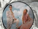 RARE Taylor Swift/ Panic  At The Disco ME  Picture Vinyl