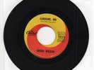 Brian Wilson  Caroline No  on Capitol    Original   45