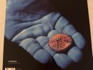 Coldplay - Blue Room EP 12” Vinyl Ltd Edition Nr Mint