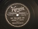 BLUES HERWIN BUKKA WHITE, SON HOUSE, SKIP JAMES, WILLIE BROWN 92400-04 COMPLETE