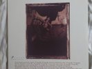 Surfer Rosa by Pixies (Vinyl LP)
