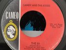 THE 81 - CANDY AND THE KISSES ( Original US 1964 