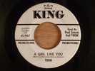Them A Girl Like You/Don't Look Now  Promo RARE  Ohio Garage Rocker 1964 King