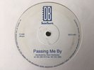 12 Inch vinyl record Rave/Jungle Decibel Records Passing Me By