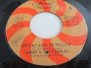 SANDY & THE PEBBLES..HE'S MY KIND OF FELLOW..RARE  US  ISSUE MERCURY  No 72745