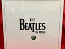 BEATLES / THE BEATLES IN MONO VINYL BOX SET (EU PRESS)