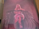 IN HAND Sabrina Carpenter Feather 7