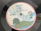 Nick Drake-Bryter Layter. UK Pink Rim Island A-1 B-1 Vinyl LP 1st Press 1970
