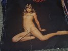 Skorpions Virgin Killer