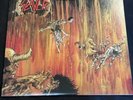 Hell Awaits by Slayer 2008 Rare Gold W Blood Splattered Picture Disc Vinyl