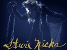 Stevie Nicks : The 24 Karat Gold Tour: Live in Concert DOUBLE VINYL - NEW