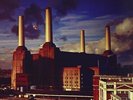 PINK FLOYD **Animals **BRAND NEW RECORD LP VINYL