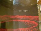 The Daysleepers -  Creation Blue Vinyl Sealed Shoegaze Slowdive