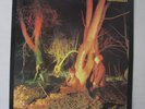 ECHO & THE BUNNYMEN Crocodiles LP UK Korova 1980 First Issue w/Inner NM