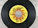 Swamp Rats Louie Louie / Hey Joe 45 RPM 7” Vinyl Record St. Clair Garage Rock