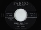 Doo-Wop 45 - Aquatones - Crazy For You - Fargo